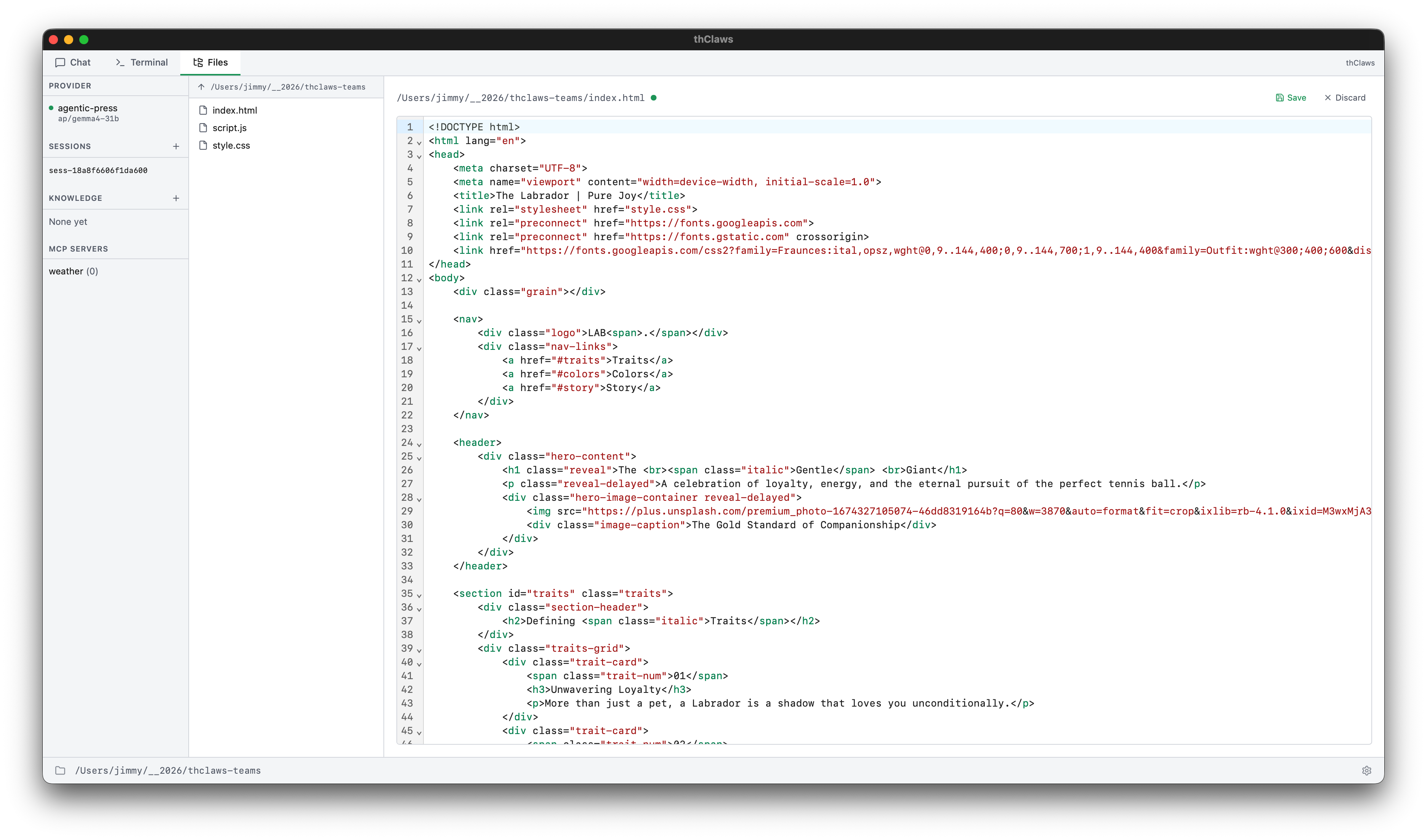 Files-tab edit mode — index.html opened in CodeMirror; the ● after the filename marks unsaved changes, and the Save / Discard controls appear in the top-right